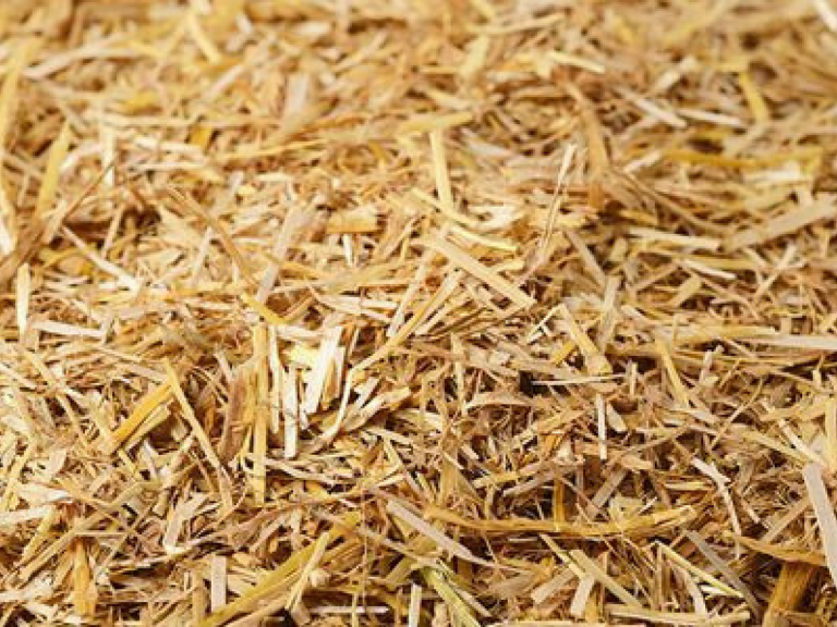 Superior Straw Bedding Dust Free And Earth Friendly