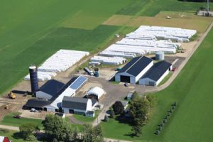 Lauwers Alfalfa & Straw Farm